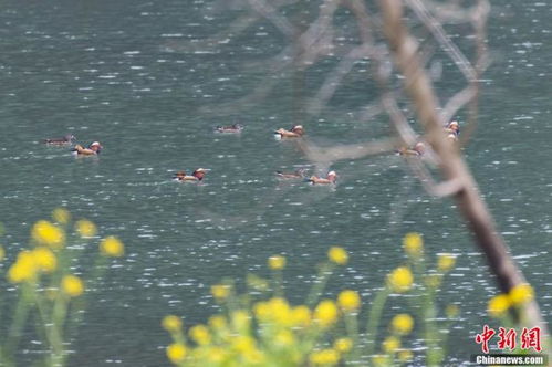 生态环境部 1至4月129个城市环境空气质量达标 综合治理成效显著
