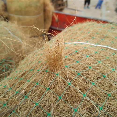 荒漠化防治与生态文明建设 可降解环保椰丝毯的生态应用与价值探索