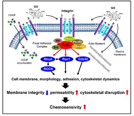 生态环境中心在纳米材料的环境健康风险研究方面取得进展